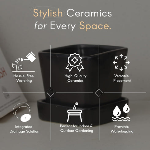 Black Square Ceramic Planter - The Earth Store - Planter